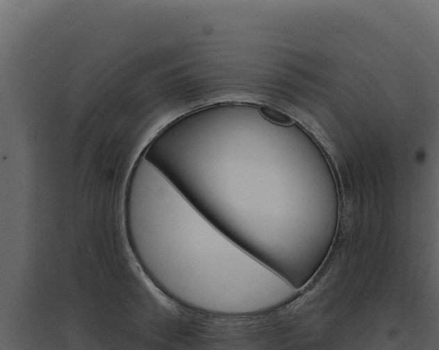 X0000094810898200711161001