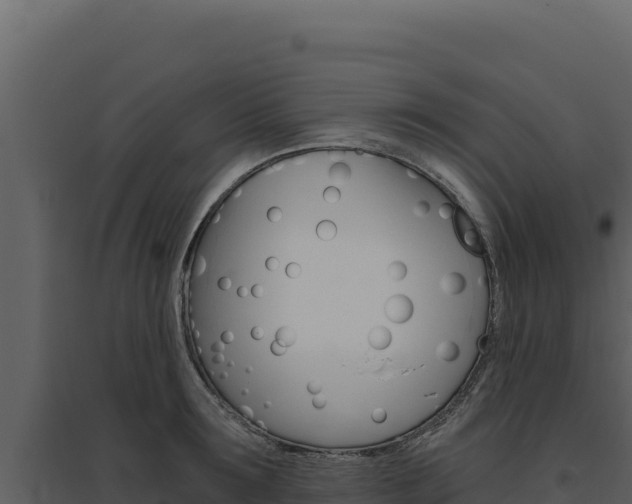 X0000094810899200711161001