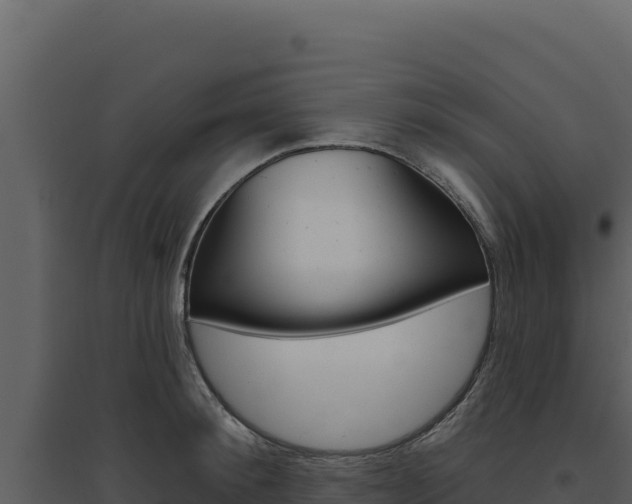 X0000094810900200711161001