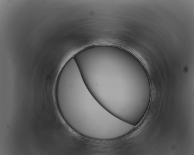X0000094810901200711161001
