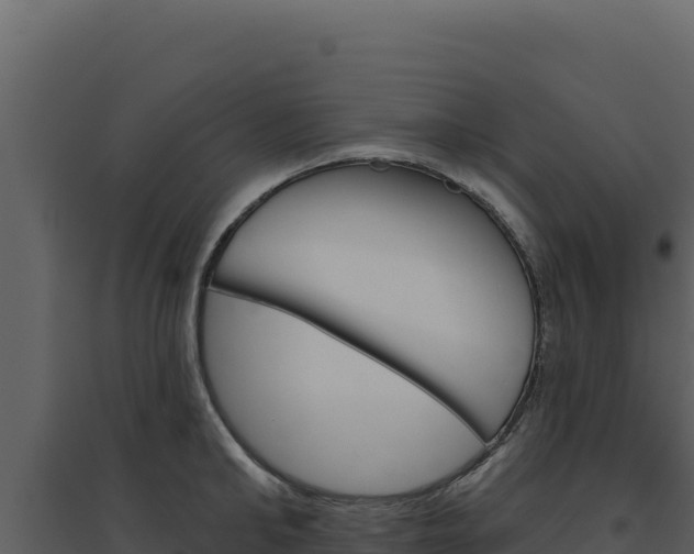 X0000094810902200711161001