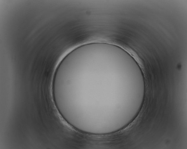 X0000094810904200711161001