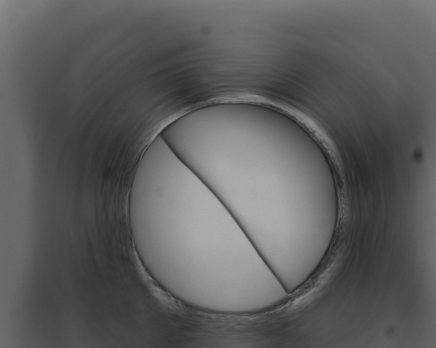 X0000094810905200711161001