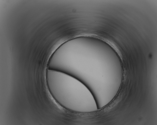 X0000094810906200711161001