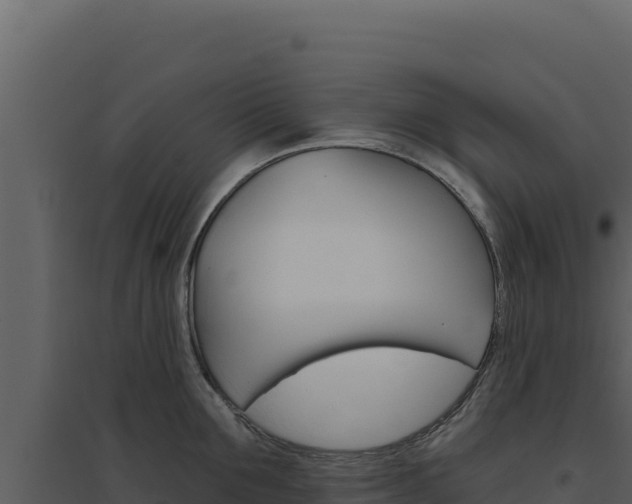 X0000094810907200711161001