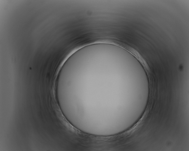 X0000094810908200711161001