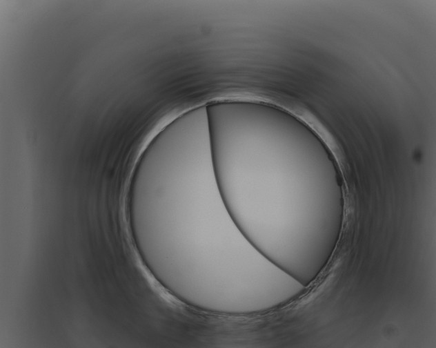 X0000094810909200711161001