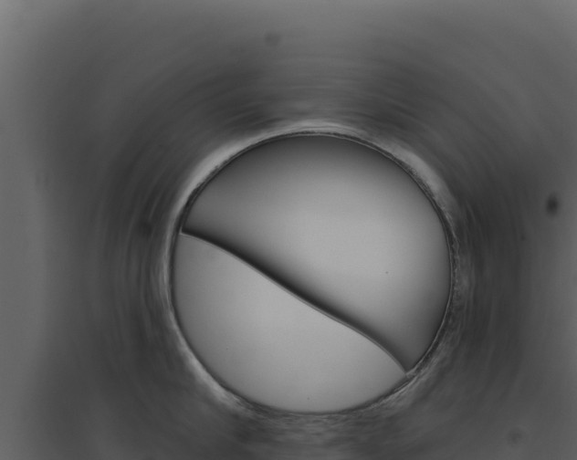 X0000094810910200711161001