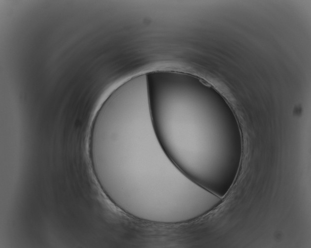 X0000094810912200711161001