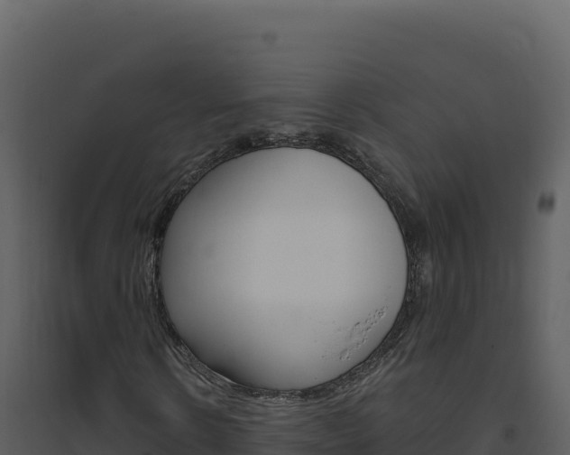 X0000094810914200711161000