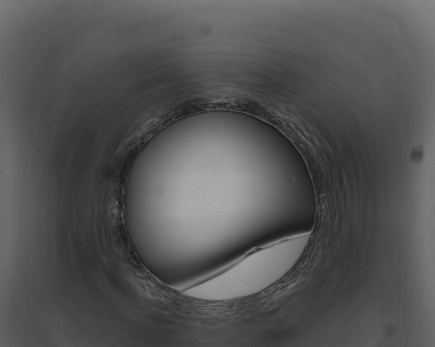 X0000094810916200711161000