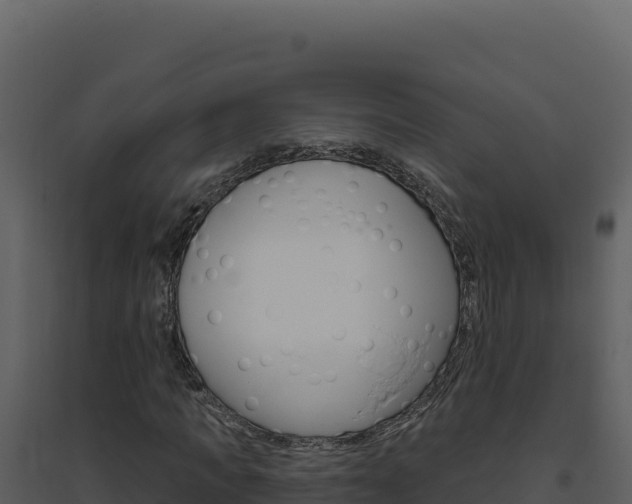 X0000094810917200711161000