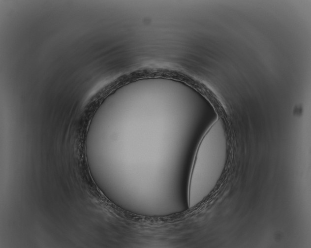 X0000094810919200711161000
