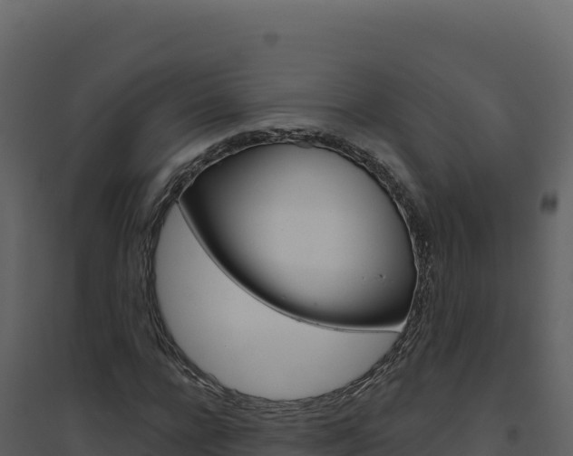 X0000094810920200711161000