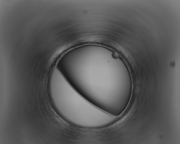 X0000094810922200711161000
