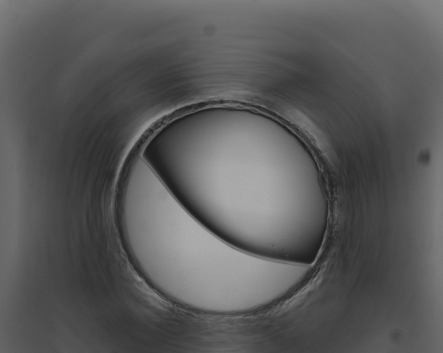 X0000094810924200711161000