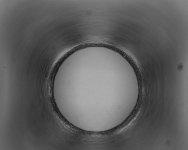 X0000094810925200711161000