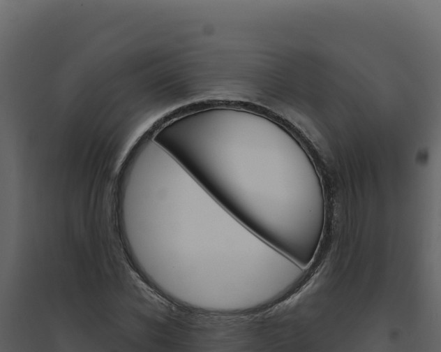 X0000094810926200711161000