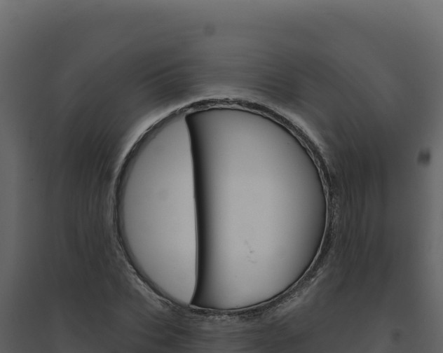 X0000094810927200711161000