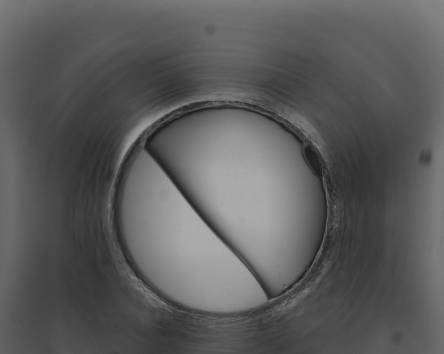 X0000094810928200711161000