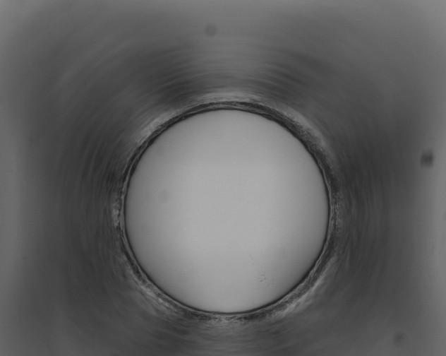 X0000094810929200711161000