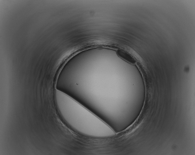 X0000094810930200711161000