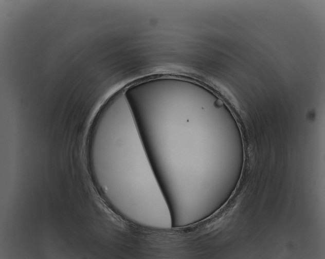 X0000094810931200711161000