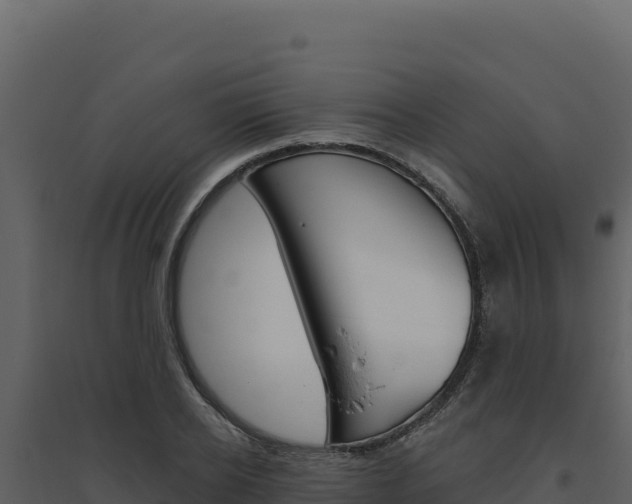 X0000094810934200711161000