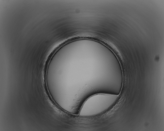 X0000094810935200711161000