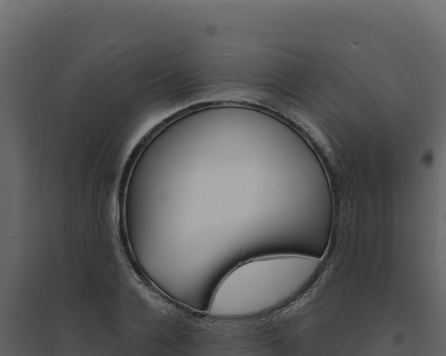 X0000094810936200711161001