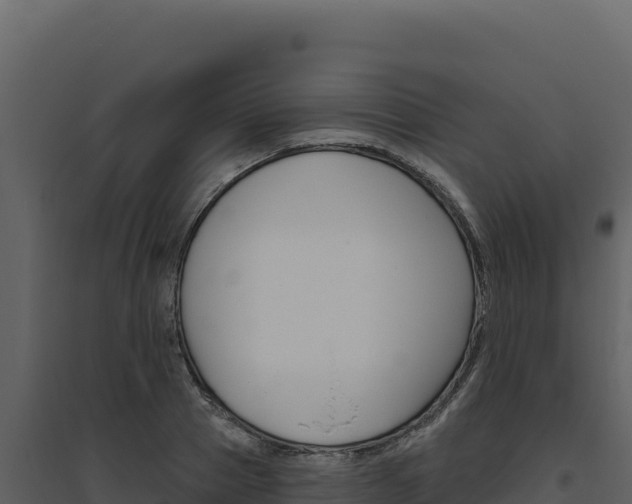 X0000094810937200711161001