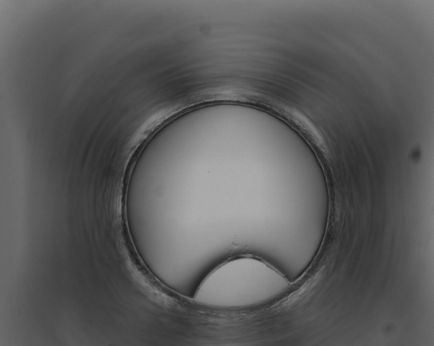 X0000094810938200711161001