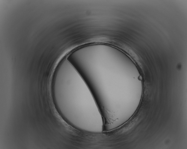X0000094810939200711161001