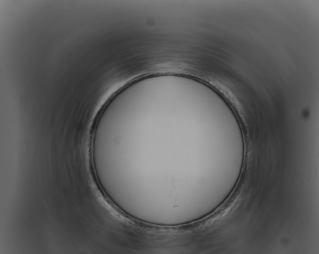 X0000094810941200711161001