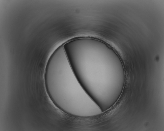 X0000094810943200711161001