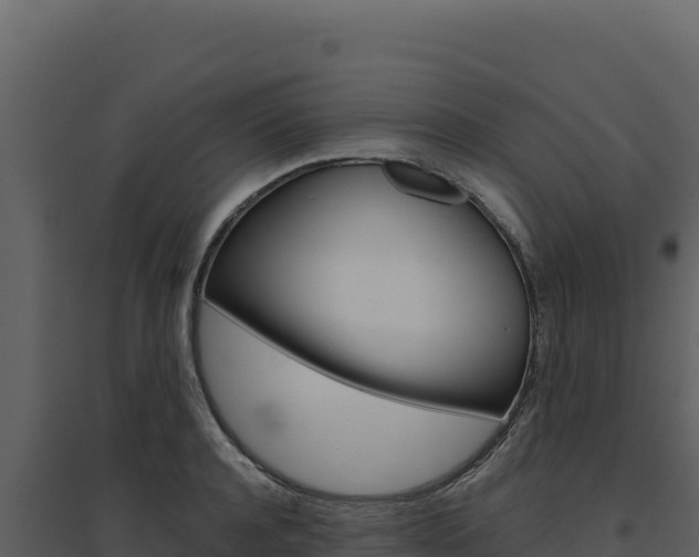 X0000094810944200711161001