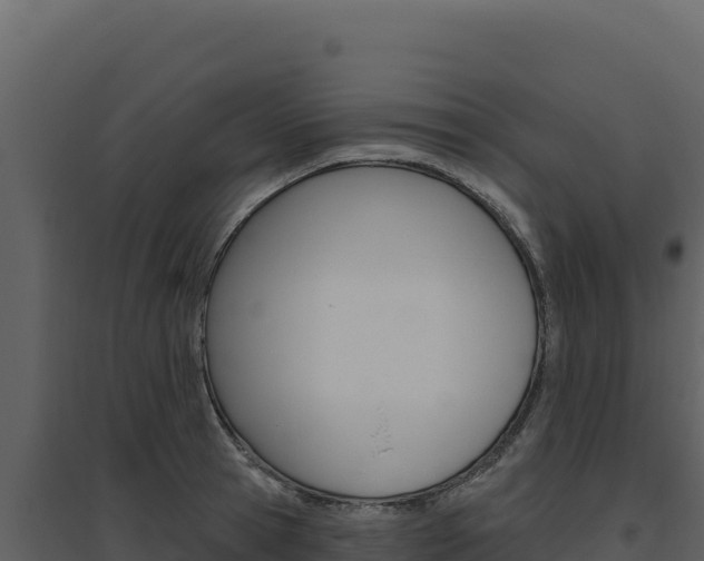 X0000094810945200711161001