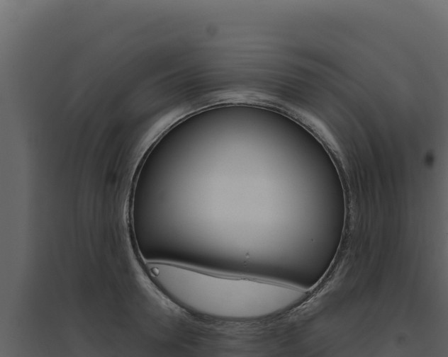 X0000094810946200711161001