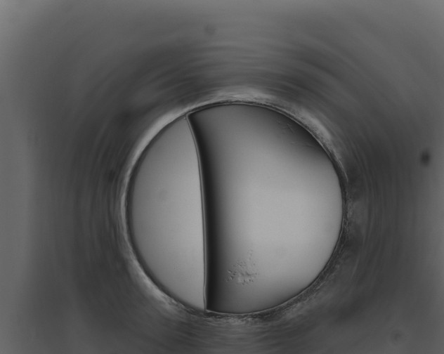 X0000094810947200711161001