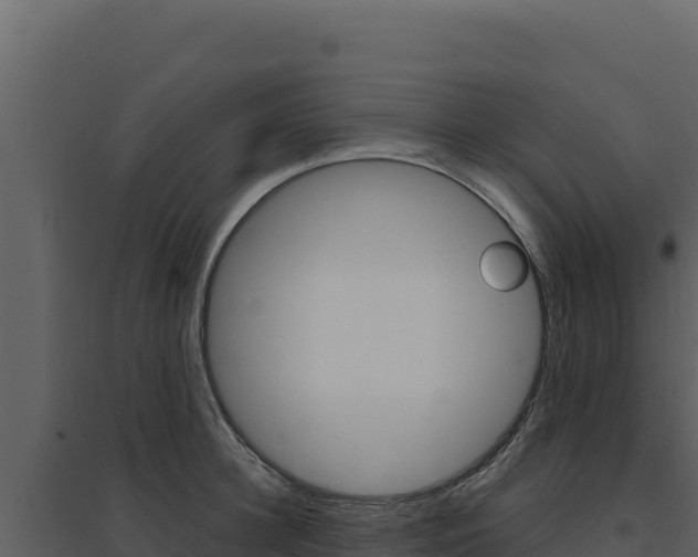 X0000094810948200711161001