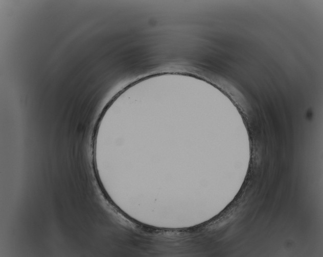 X0000094810950200711161001