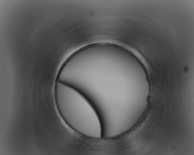 X0000094810951200711161001