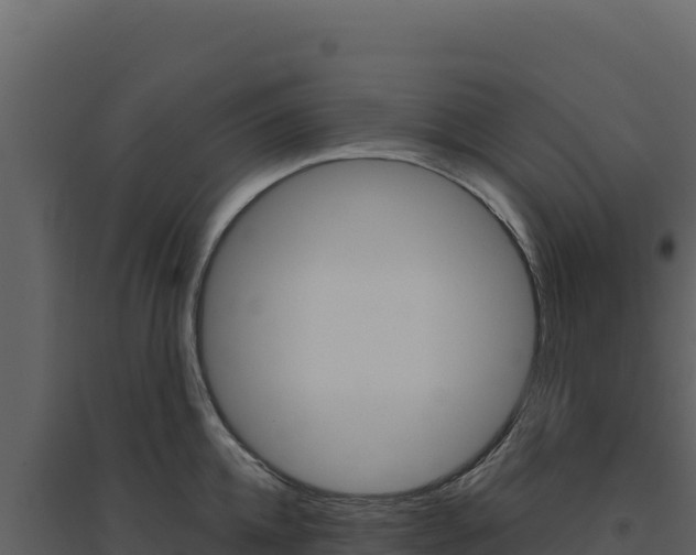 X0000094810952200711161001