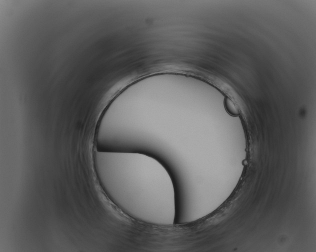 X0000094810954200711161001
