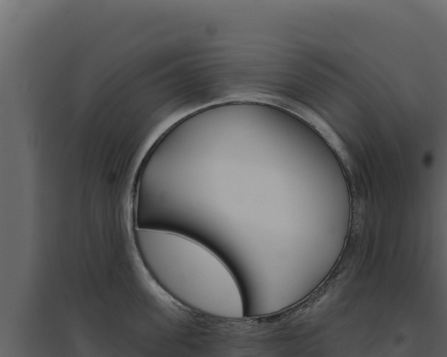 X0000094810955200711161001