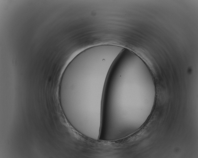 X0000094810956200711161001