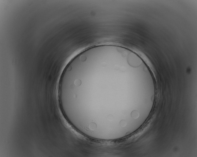 X0000094810957200711161001