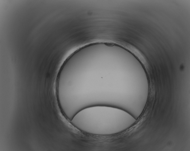 X0000094810958200711161001