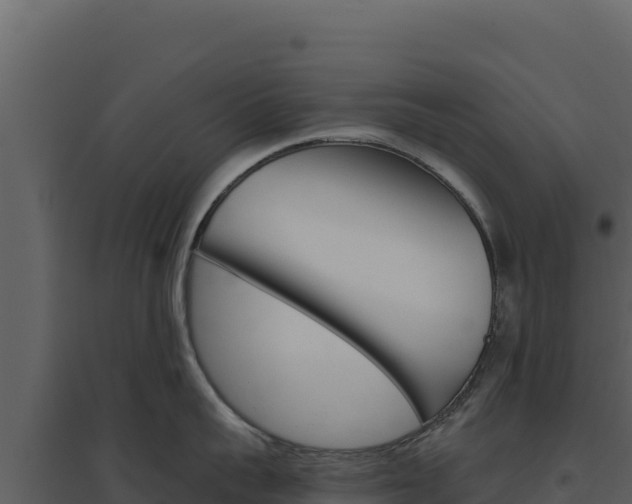 X0000094810959200711161001