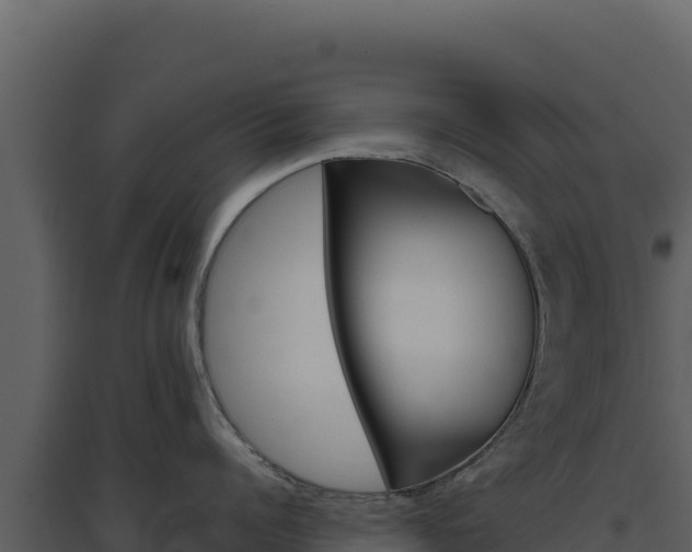 X0000094810960200711161001